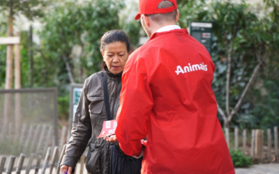 augmenter-vos-ventes-grace-au-street-marketing