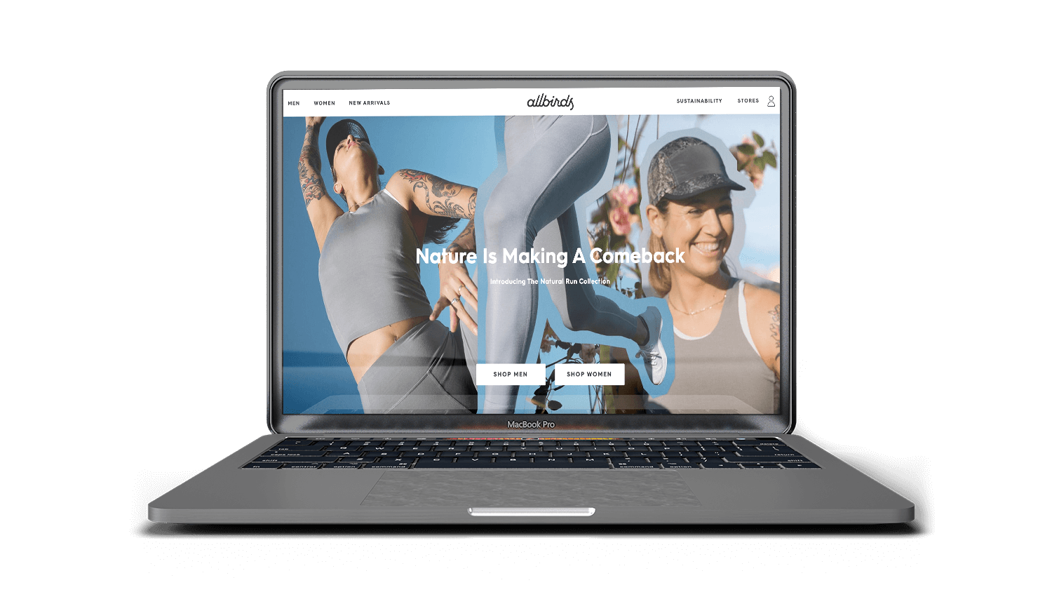 allbird-design-site-web