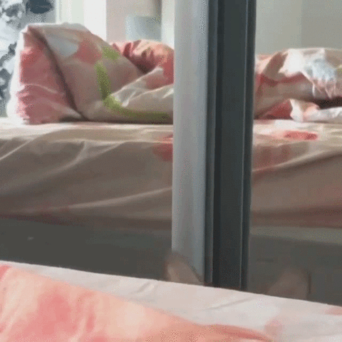 drinkman-attise-curiosite-vers-entreprise