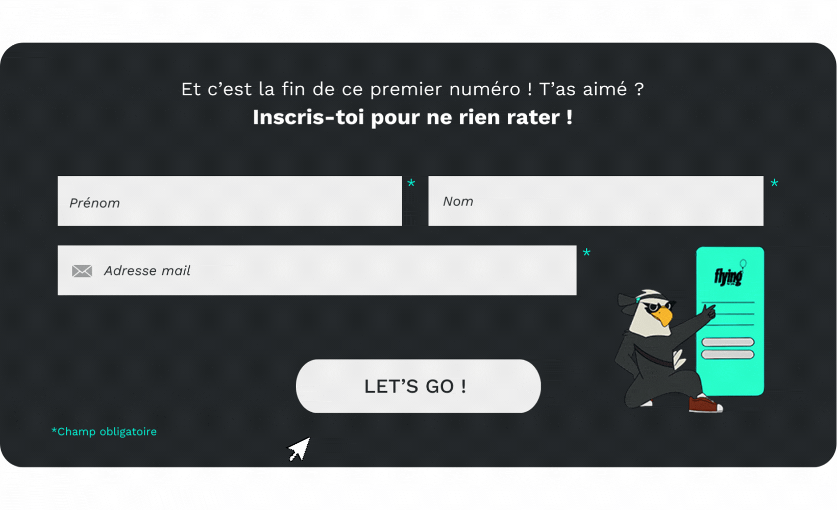 inscription-flying-news-newsletter-flying-for-you inscription-flying-news-newsletter-flying-for-you
