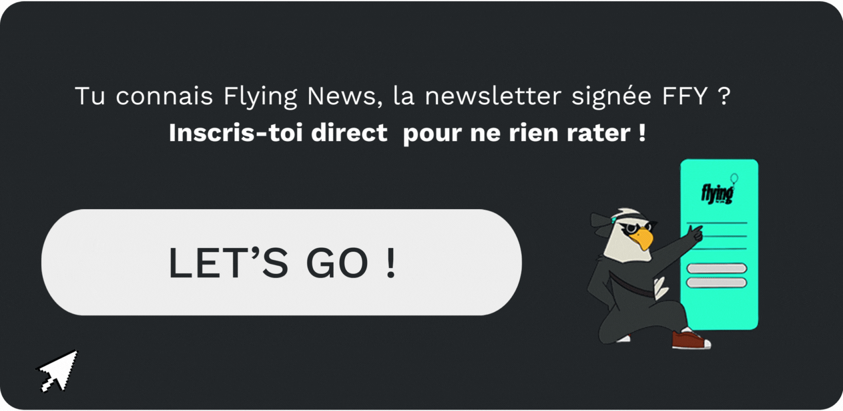 flying-news-newsletter-ffy-inscription flying-news-newsletter-ffy-inscription